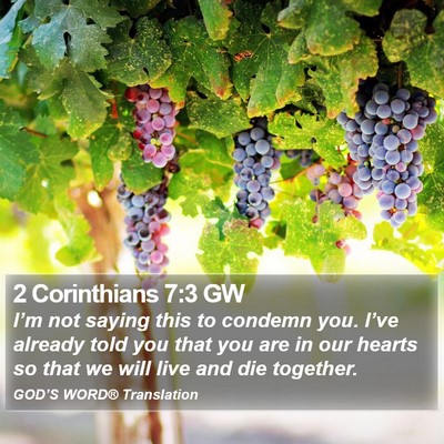 2 Corinthians 7:3 GW Bible Verse Image