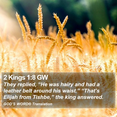 2 Kings 1:8 GW Bible Verse Image