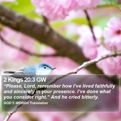 2 Kings 20:3 GW Bible Verse Image