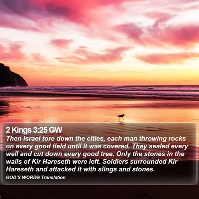 2 Kings 3:25 GW Bible Verse Image