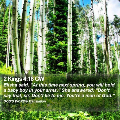 2 Kings 4:16 GW Bible Verse Image