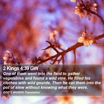 2 Kings 4:39 GW Bible Verse Image