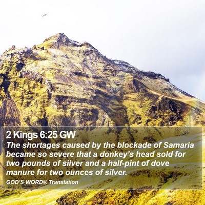 2 Kings 6:25 GW Bible Verse Image