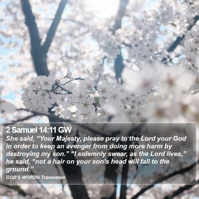 2 Samuel 14:11 GW Bible Verse Image