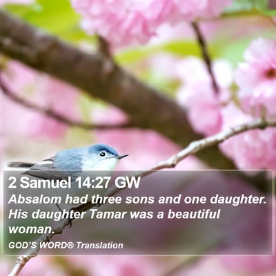2 Samuel 14:27 GW Bible Verse Image