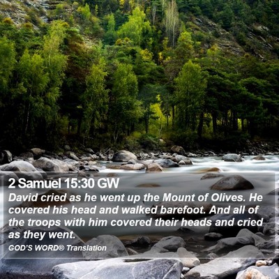 2 Samuel 15:30 GW Bible Verse Image