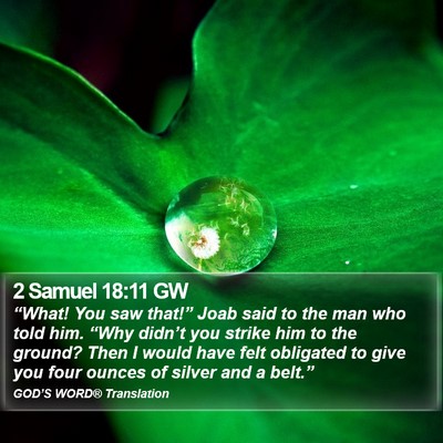 2 Samuel 18:11 GW Bible Verse Image