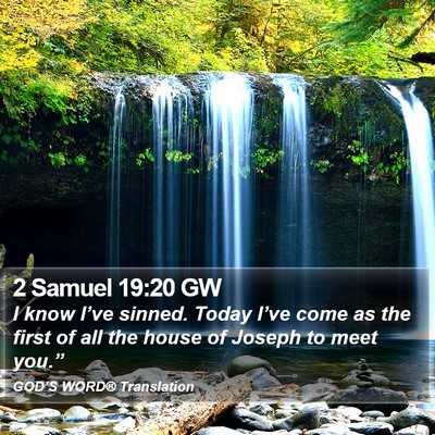 2 Samuel 19:20 GW Bible Verse Image
