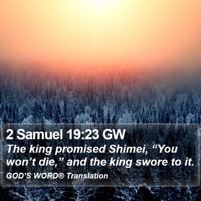 2 Samuel 19:23 GW Bible Verse Image