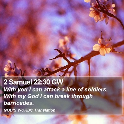 2 Samuel 22:30 GW Bible Verse Image