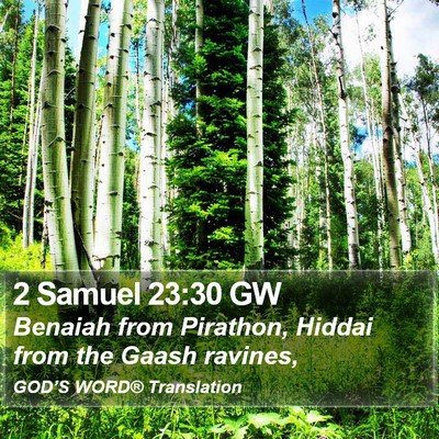 2 Samuel 23:30 GW Bible Verse Image