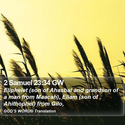 2 Samuel 23:34 GW Bible Verse Image