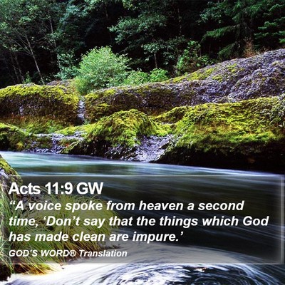 Acts 11:9 GW Bible Verse Image