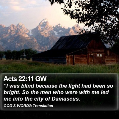 Acts 22:11 GW Bible Verse Image