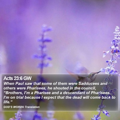 Acts 23:6 GW Bible Verse Image
