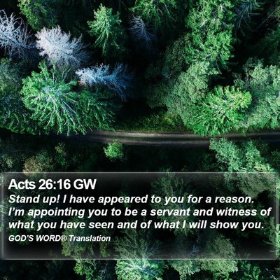 Acts 26:16 GW Bible Verse Image