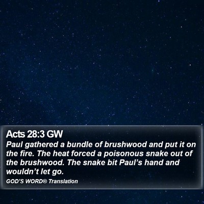 Acts 28:3 GW Bible Verse Image