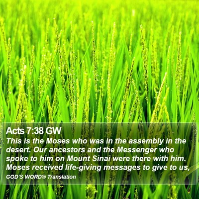 Acts 7:38 GW Bible Verse Image