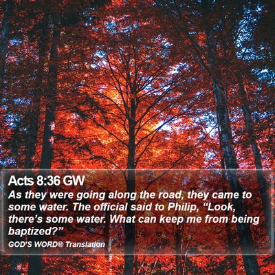 Acts 8:36 GW Bible Verse Image