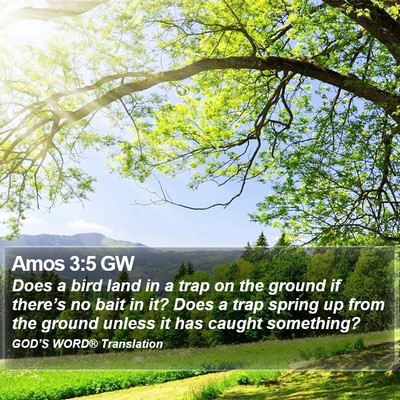 Amos 3:5 GW Bible Verse Image