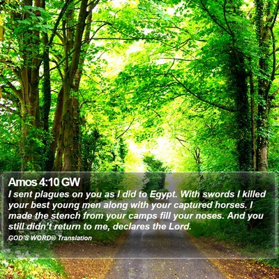 Amos 4:10 GW Bible Verse Image