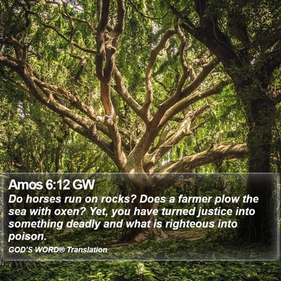 Amos 6:12 GW Bible Verse Image