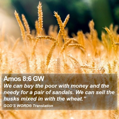Amos 8:6 GW Bible Verse Image