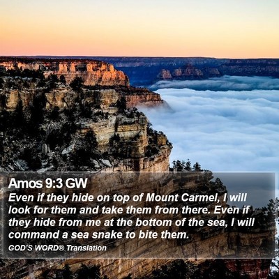 Amos 9:3 GW Bible Verse Image