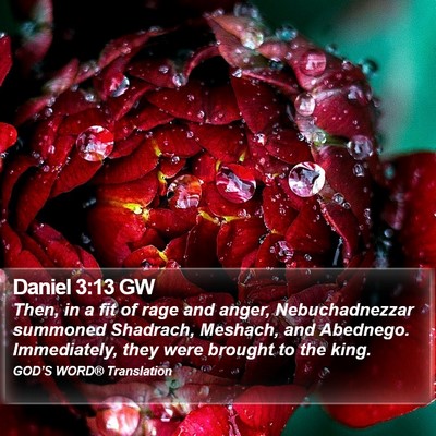 Daniel 3:13 GW Bible Verse Image
