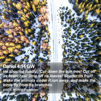 Daniel 4:14 GW Bible Verse Image