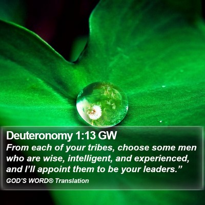 Deuteronomy 1:13 GW Bible Verse Image