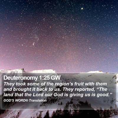Deuteronomy 1:25 GW Bible Verse Image