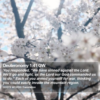 Deuteronomy 1:41 GW Bible Verse Image