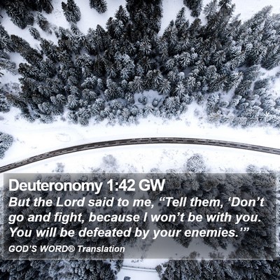 Deuteronomy 1:42 GW Bible Verse Image