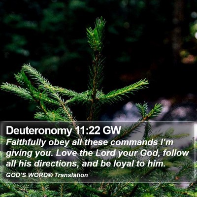 Deuteronomy 11:22 GW Bible Verse Image
