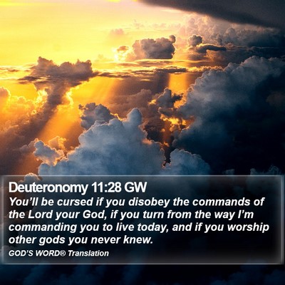 Deuteronomy 11:28 GW Bible Verse Image
