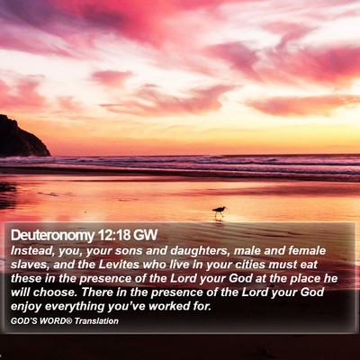 Deuteronomy 12:18 GW Bible Verse Image