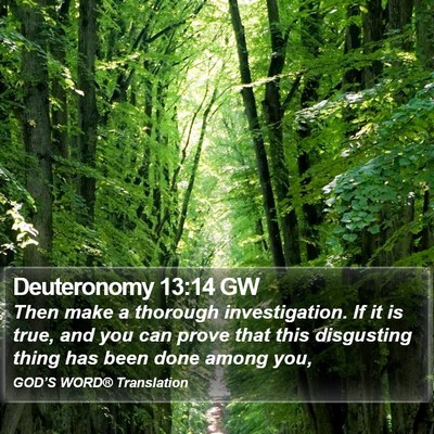Deuteronomy 13:14 GW Bible Verse Image