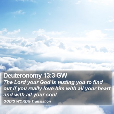 Deuteronomy 13:3 GW Bible Verse Image