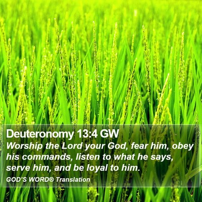 Deuteronomy 13:4 GW Bible Verse Image