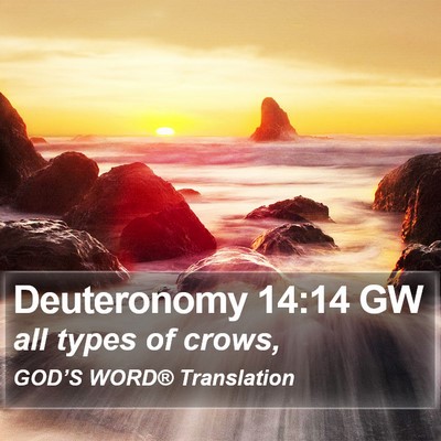 Deuteronomy 14:14 GW Bible Verse Image