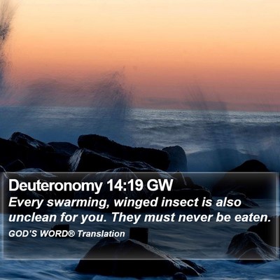 Deuteronomy 14:19 GW Bible Verse Image