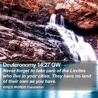 Deuteronomy 14:27 GW Bible Verse Image