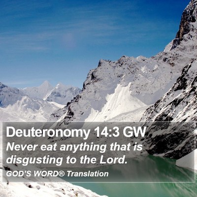 Deuteronomy 14:3 GW Bible Verse Image