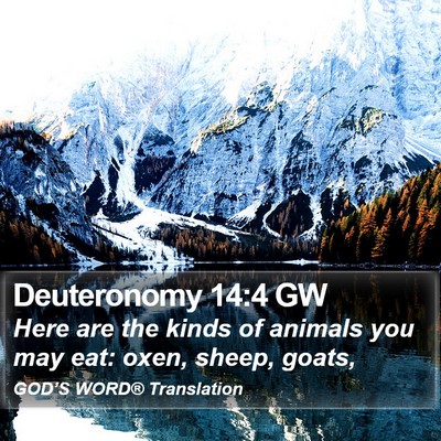 Deuteronomy 14:4 GW Bible Verse Image