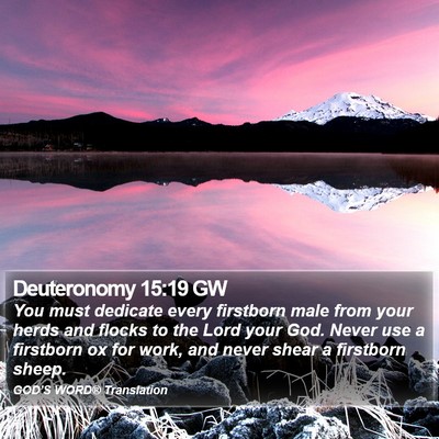 Deuteronomy 15:19 GW Bible Verse Image