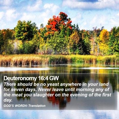 Deuteronomy 16:4 GW Bible Verse Image