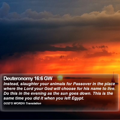 Deuteronomy 16:6 GW Bible Verse Image