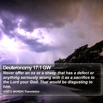 Deuteronomy 17:1 GW Bible Verse Image