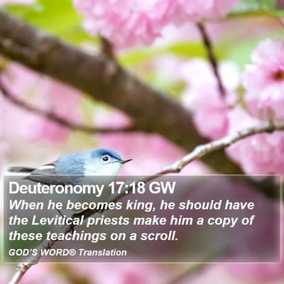 Deuteronomy 17:18 GW Bible Verse Image